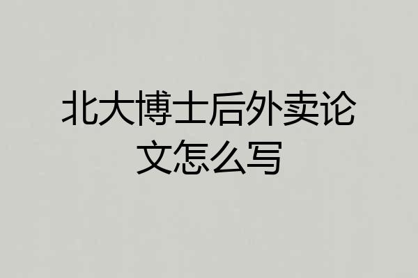 北大博士后外卖论文怎么写