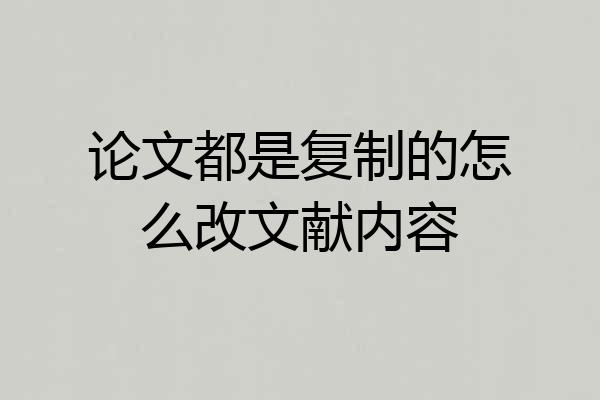 论文都是复制的怎么改文献内容
