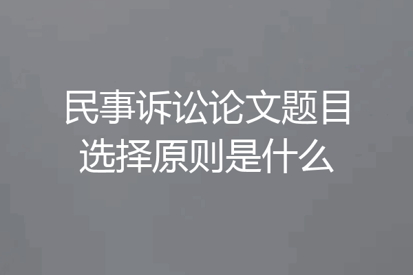 民事诉讼论文题目选择原则是什么