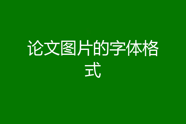 论文图片的字体格式