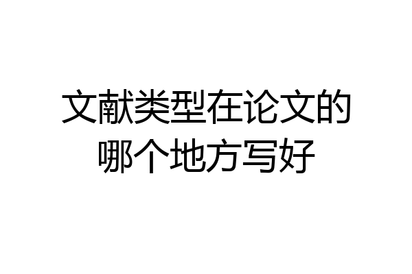 文献类型在论文的哪个地方写好
