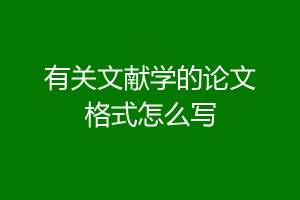 有关文献学的论文格式怎么写