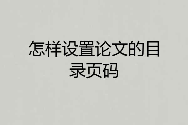 怎样设置论文的目录页码