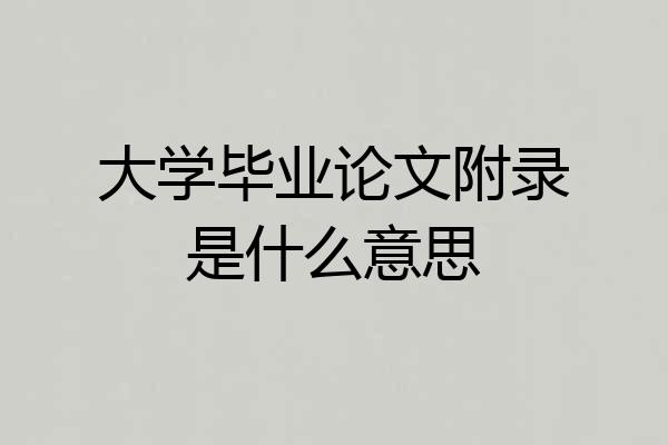 大学毕业论文附录是什么意思
