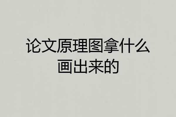 论文原理图拿什么画出来的