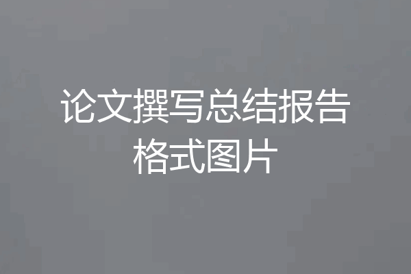 论文撰写总结报告格式图片