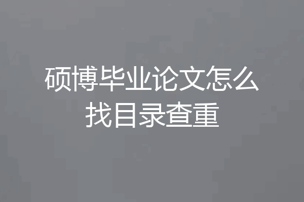 硕博毕业论文怎么找目录查重