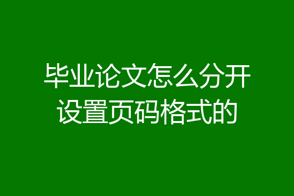 毕业论文怎么分开设置页码格式的