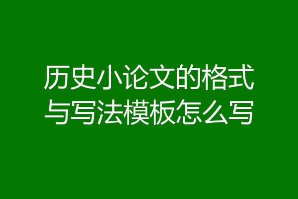 历史小论文的格式与写法模板怎么写