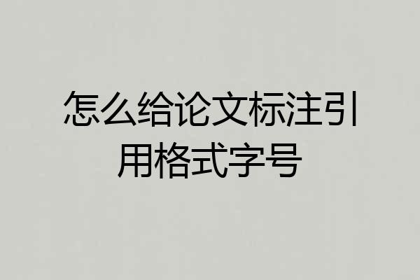 怎么给论文标注引用格式字号