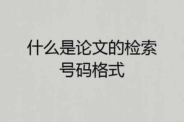 什么是论文的检索号码格式