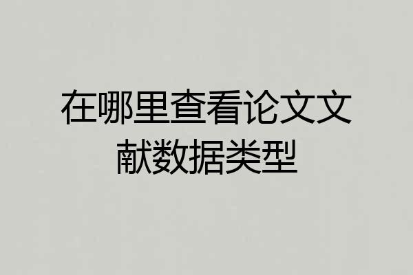 在哪里查看论文文献数据类型