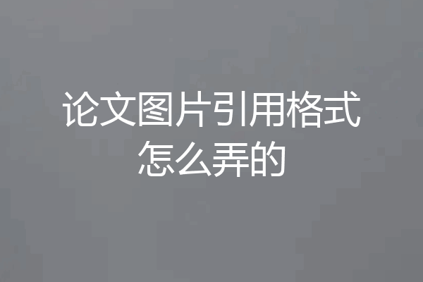 论文图片引用格式怎么弄的