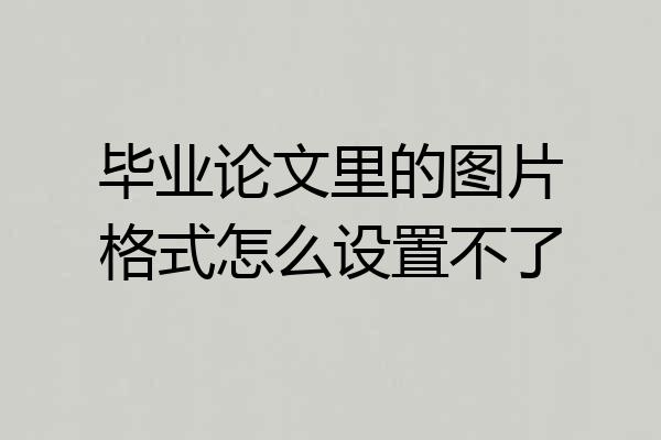 毕业论文里的图片格式怎么设置不了