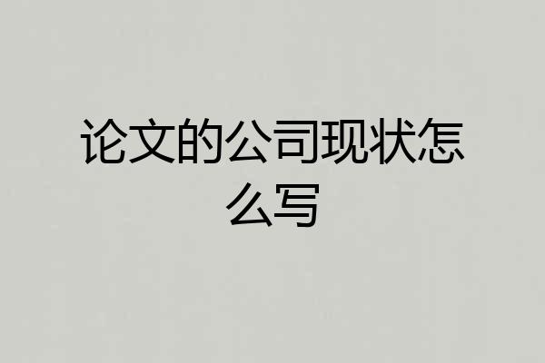 论文的公司现状怎么写