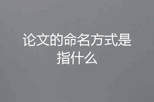 论文的命名方式是指什么