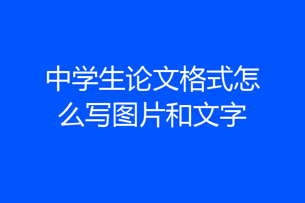 中学生论文格式怎么写图片和文字