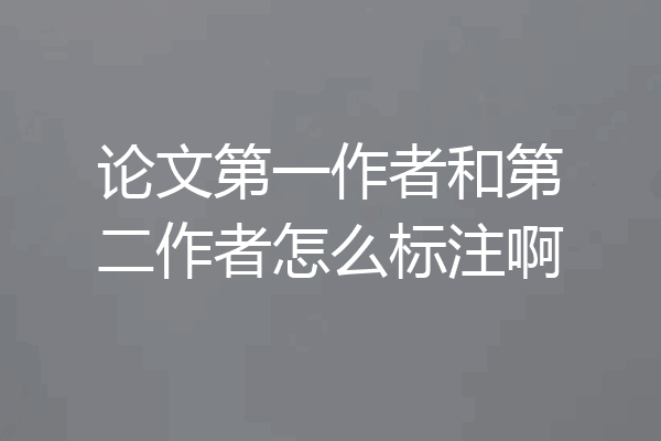 论文第一作者和第二作者怎么标注啊