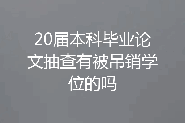 20届本科毕业论文抽查有被吊销学位的吗