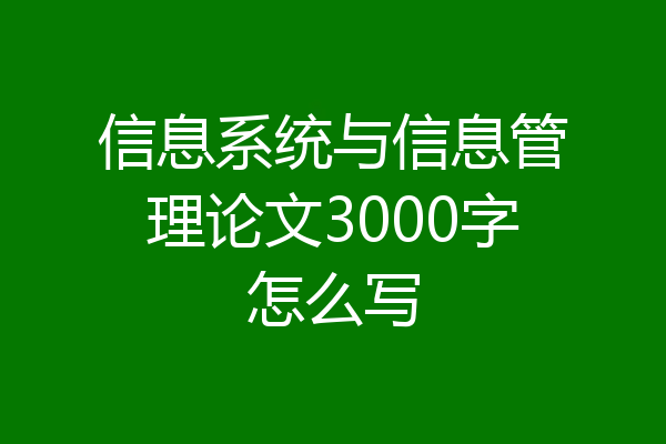 信息系统与信息管理论文3000字怎么写