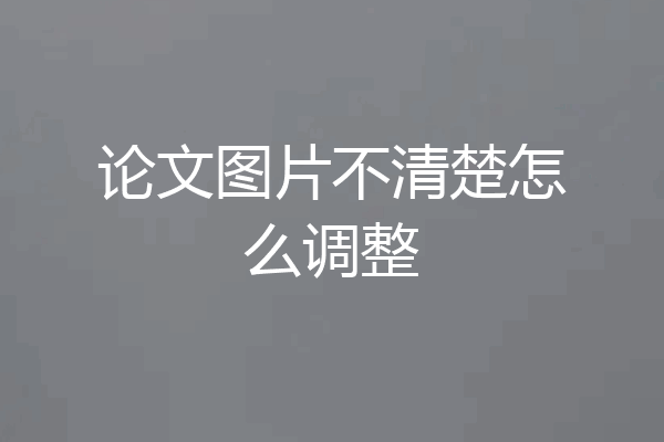 论文图片不清楚怎么调整