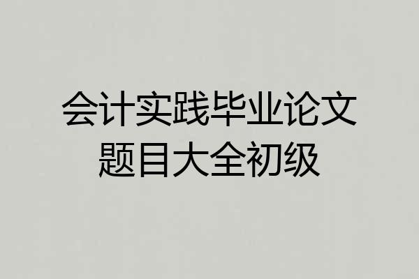 会计实践毕业论文题目大全初级