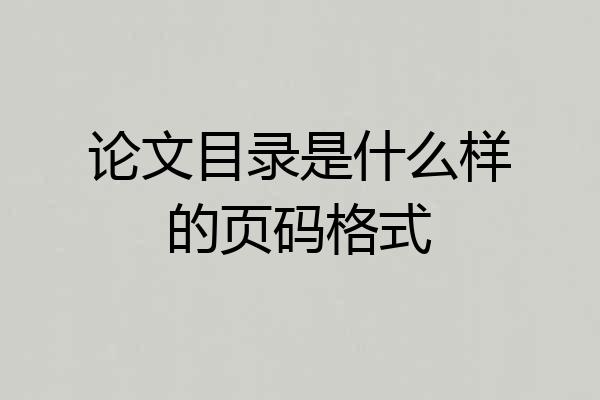 论文目录是什么样的页码格式