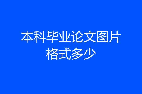 本科毕业论文图片格式多少