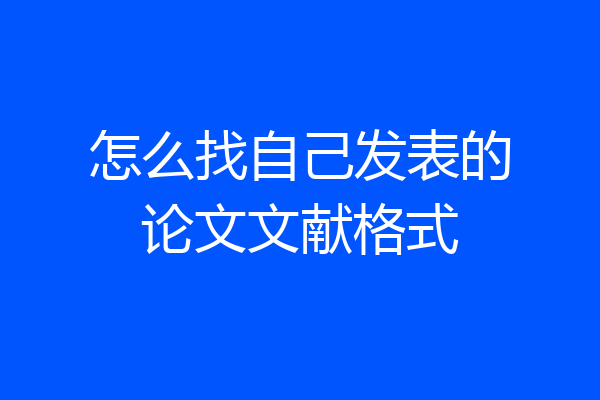 怎么找自己发表的论文文献格式