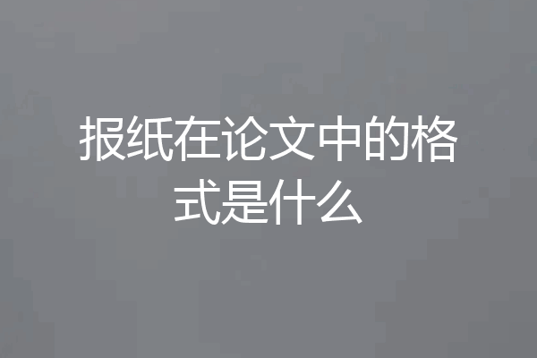 报纸在论文中的格式是什么