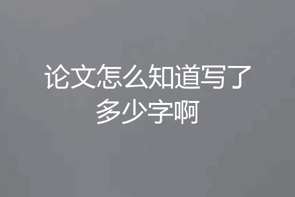 论文怎么知道写了多少字啊