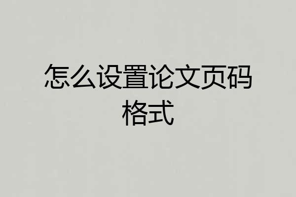 怎么设置论文页码格式
