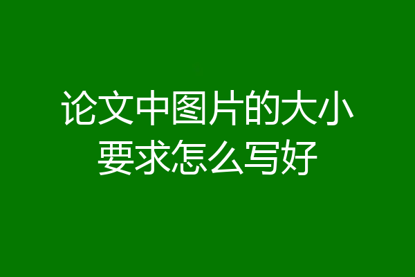 论文中图片的大小要求怎么写好