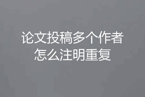 论文投稿多个作者怎么注明重复