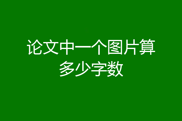 论文中一个图片算多少字数