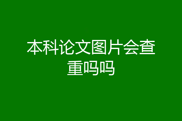 本科论文图片会查重吗吗
