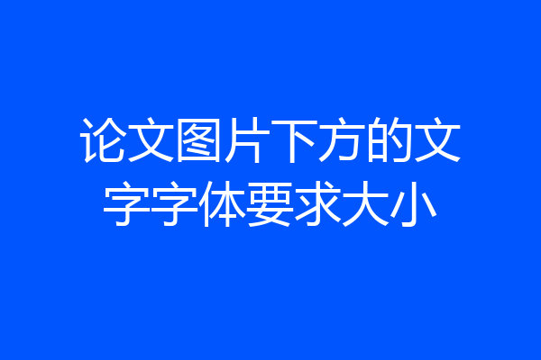 论文图片下方的文字字体要求大小