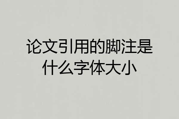 论文引用的脚注是什么字体大小