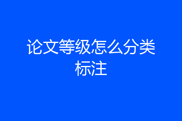 论文等级怎么分类标注