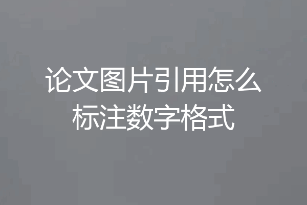 论文图片引用怎么标注数字格式