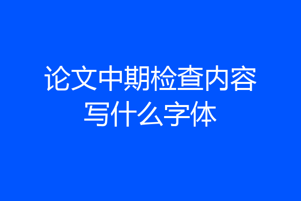 论文中期检查内容写什么字体