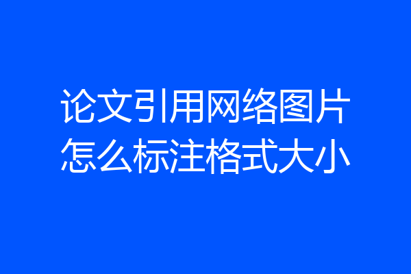 论文引用网络图片怎么标注格式大小