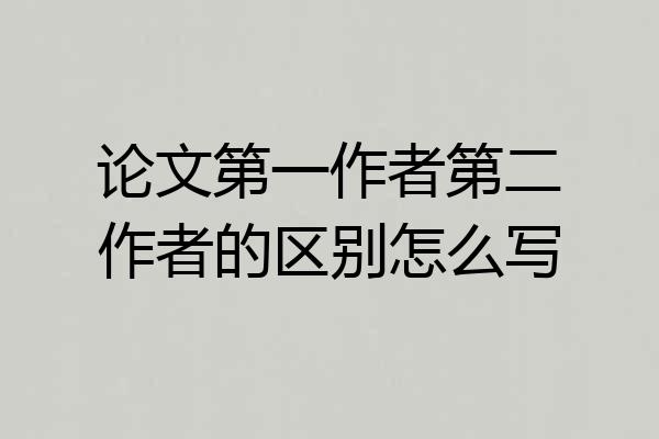 论文第一作者第二作者的区别怎么写
