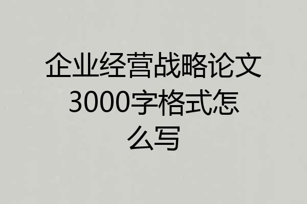 企业经营战略论文3000字格式怎么写