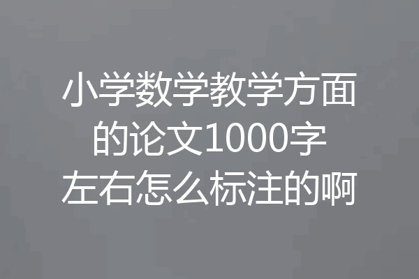 小学数学教学方面的论文1000字左右怎么标注的啊