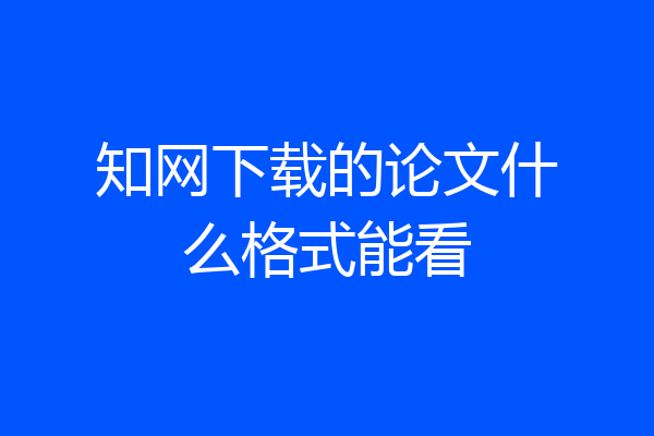 知网下载的论文什么格式能看