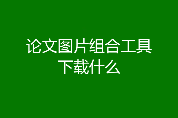 论文图片组合工具下载什么