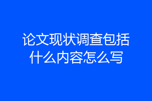 论文现状调查包括什么内容怎么写