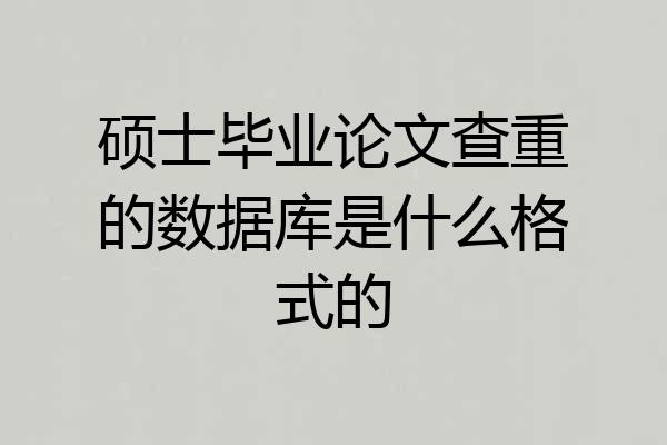 硕士毕业论文查重的数据库是什么格式的