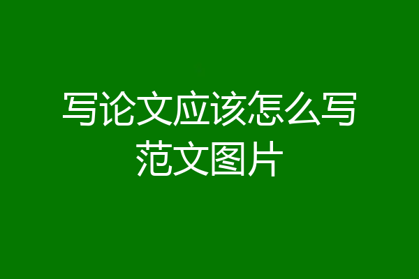 写论文应该怎么写范文图片